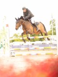 DSC01146 DSC01146
