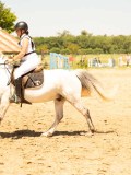 DSC00126 DSC00126