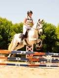 DSC00133 DSC00133