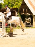 DSC00135 DSC00135