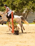 DSC00136 DSC00136