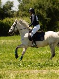 DSC01381 DSC01381