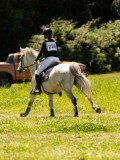 DSC01383 DSC01383