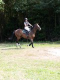IMG_5426
