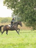 MAX02075