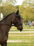 DSC08474 DSC08474