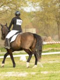 DSC08478 DSC08478