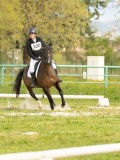 DSC08491 DSC08491