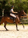 DSC00686 DSC00686