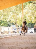 IMG_8771 IMG_8771