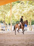 IMG_8772 IMG_8772