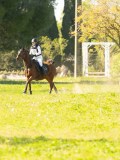 DSC00090 DSC00090