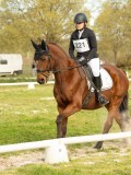 DSC08526 DSC08526