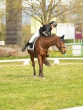 DSC08539 DSC08539