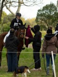 DSC08540 DSC08540