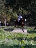 IMG_1658 IMG_1658