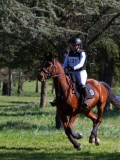 IMG_1660 IMG_1660