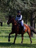 IMG_1662 IMG_1662