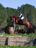 IMG_1666 IMG_1666