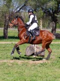 IMG_1669 IMG_1669
