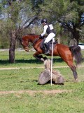 IMG_1672 IMG_1672