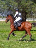 IMG_1677