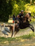 DSC00323 DSC00323