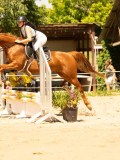 DSC09885 DSC09885
