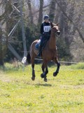 IMG_2240