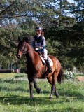 IMG_2100 IMG_2100