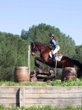 IMG_2105 IMG_2105