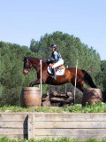 IMG_2106 IMG_2106