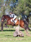 IMG_2110 IMG_2110