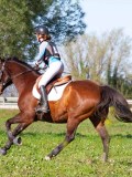 IMG_2113 IMG_2113