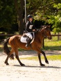 DSC00561