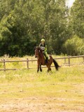 DSC04238 DSC04238
