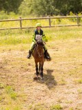 DSC04240 DSC04240
