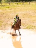 DSC04243 DSC04243