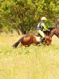 DSC04253 DSC04253