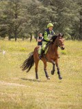 IMG_9634