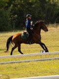 DSC00064