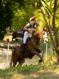 DSC00340 DSC00340
