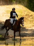 DSC00355 DSC00355