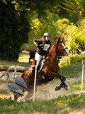 DSC00358 DSC00358