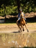 DSC01463 DSC01463