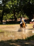 DSC01464 DSC01464