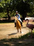 DSC01465 DSC01465