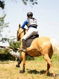 DSC01468 DSC01468
