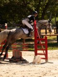 DSC00543 DSC00543