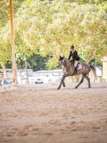 IMG_8839 IMG_8839